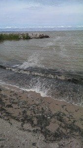 The water was a lot of dead algae and also a thick pancake batter-like sludgy foam. Yech.