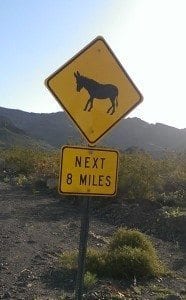 caution traffic sign, Burros