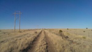 the Cuervo Cutoff, two dirt tracks running off into tall grass