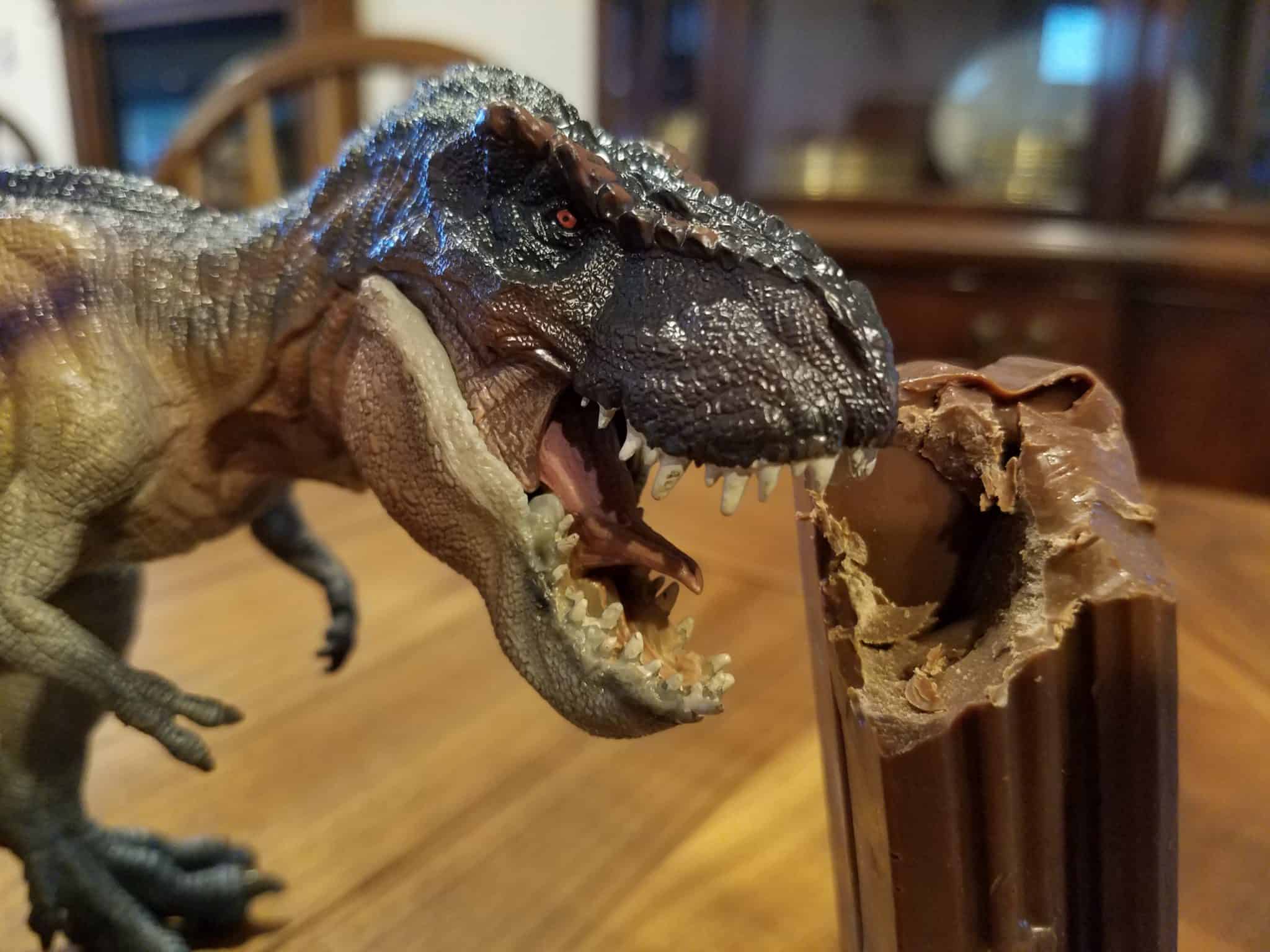 Tyrannosaurus Rex figure bites into chocolate casket