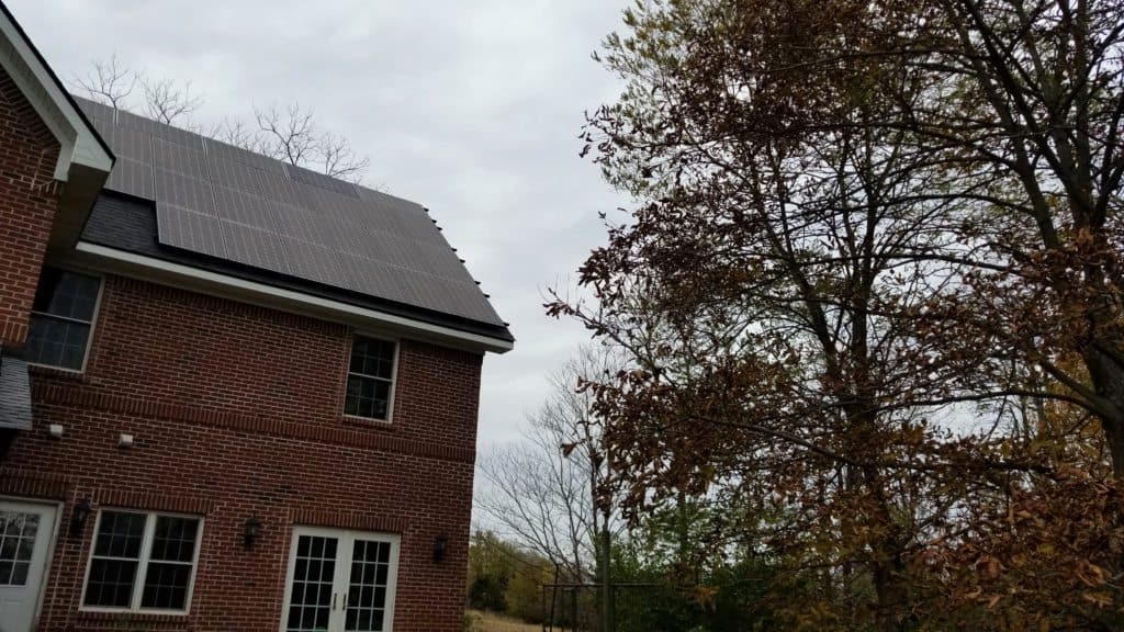 Roof with solar panels beside leafless branches and trees with dead leaves.