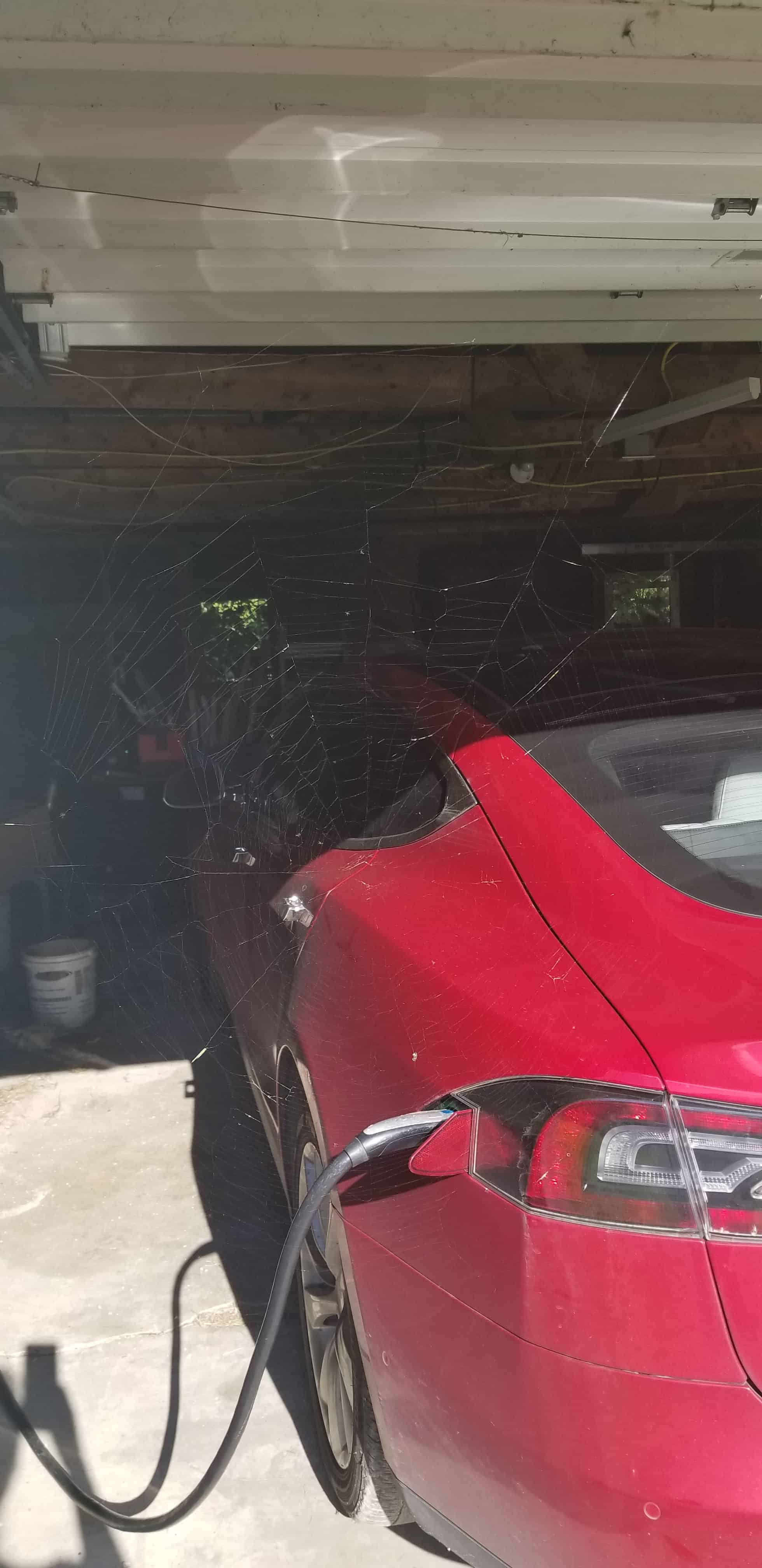 large spiderweb stretching between red car and wall