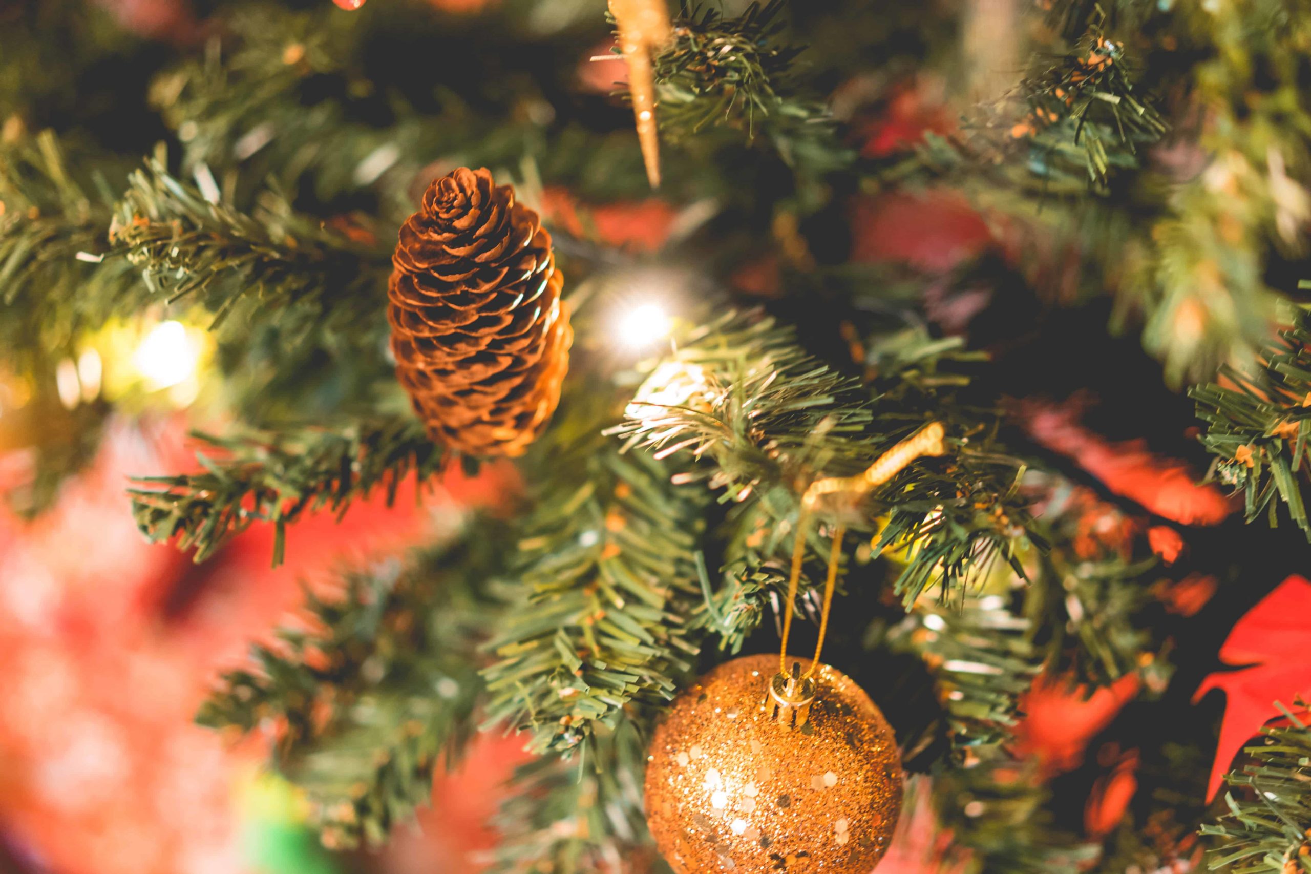 pine cone and ornaments on Christmas tree, courtesy PicJumbo